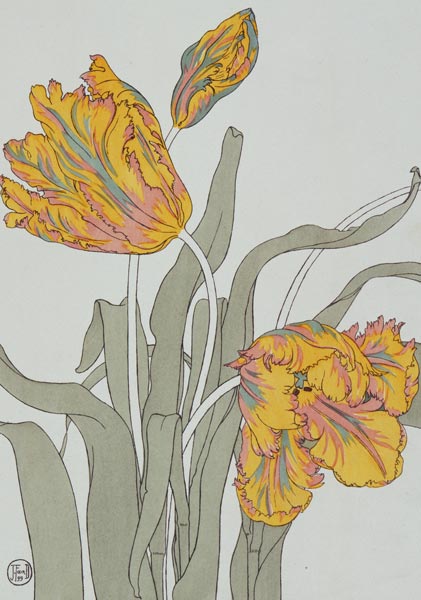 Tulip by J. Foord (fl.1890) plate 16 from 'Decorative Flower Studies' pub. 1901 von J. Foord
