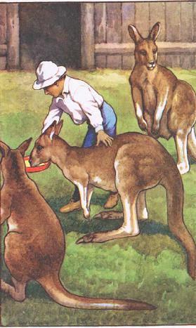 Australischer Junge, von MacMillan-Schulplakaten, um 1950-60 0