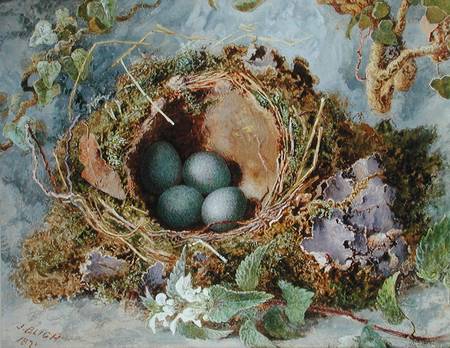 A Nest of Eggs von Jabez Bligh