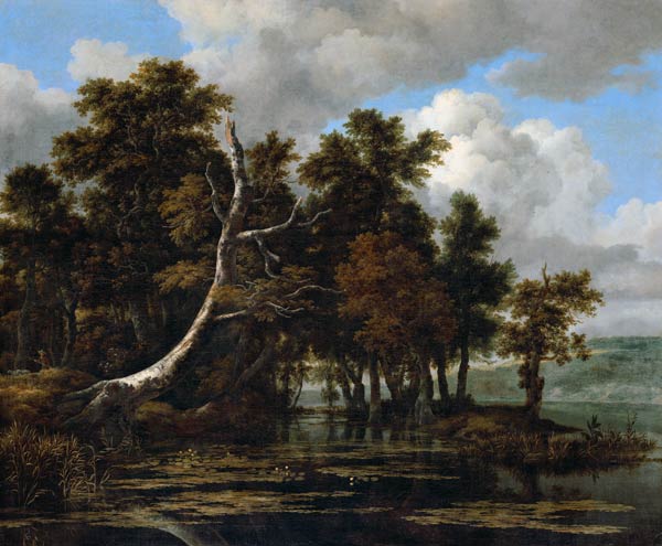 Eichen an einem See mit Wasserrosen von Jacob Isaacksz van Ruisdael