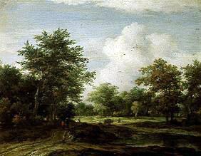 Kleine Waldlandschaft. um 1660