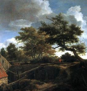 Waldlandschaft mit Rückansicht einer Wassermühle 1655