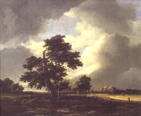 Landscape with Shepherd von Jacob Salomonsz. Ruysdael