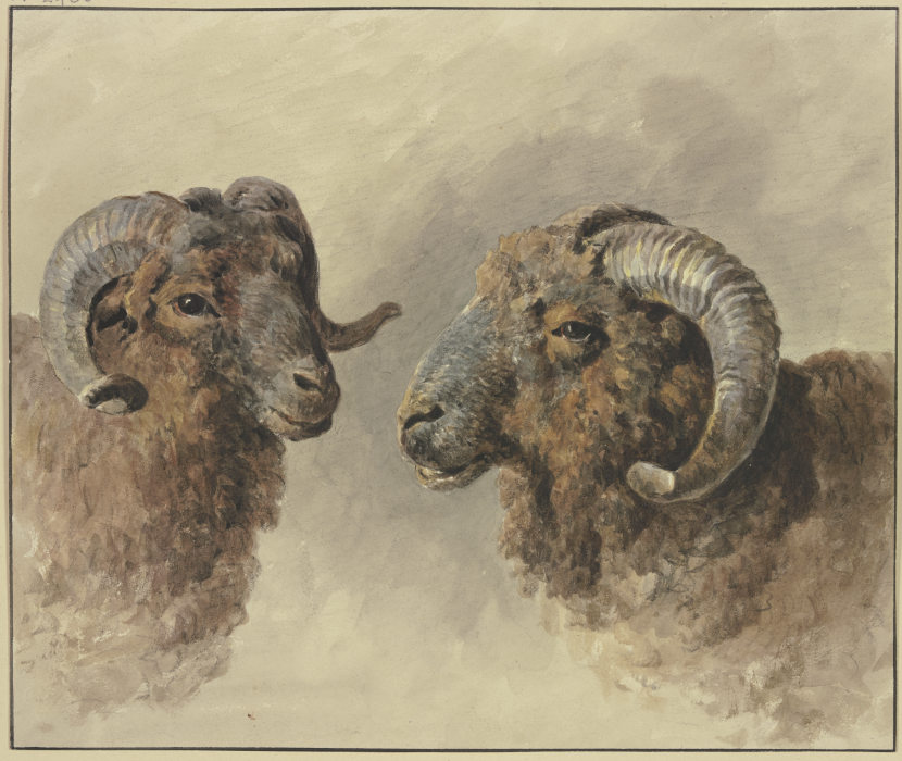 Zwei Schafe von Jacob van Strij