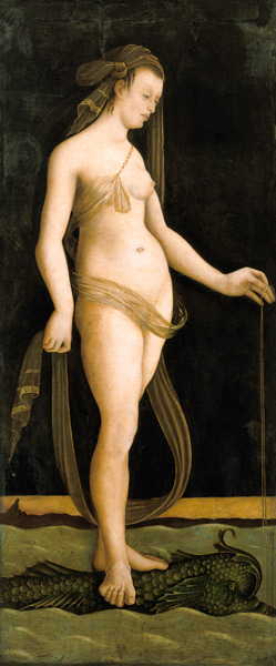 Galathea, auf einem Delphin stehend. von Jacopo de Barbari
