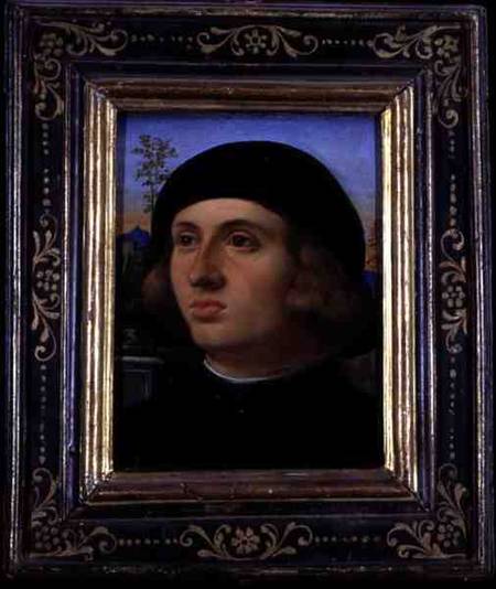 Portrait of a Young Man von Jacopo Palma il Giovane