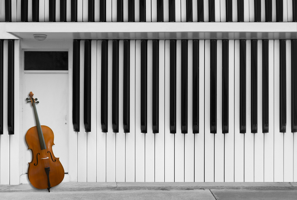 Cello an der Tür von Jacqueline Hammer