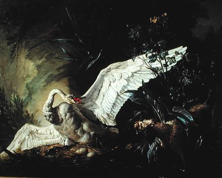 A Water Spaniel Attacking a Swan on its Nest von Jacques Charles Oudry