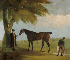 Malcolm Greame mit einem Vollblutpferd. 1816