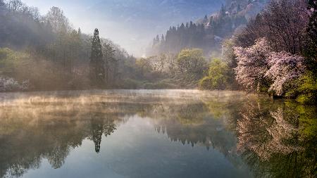 Frühling,Selyangji