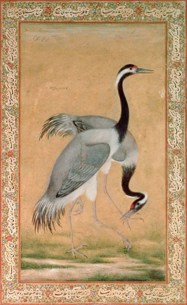 Cranes von Jahangir Period Mansur
