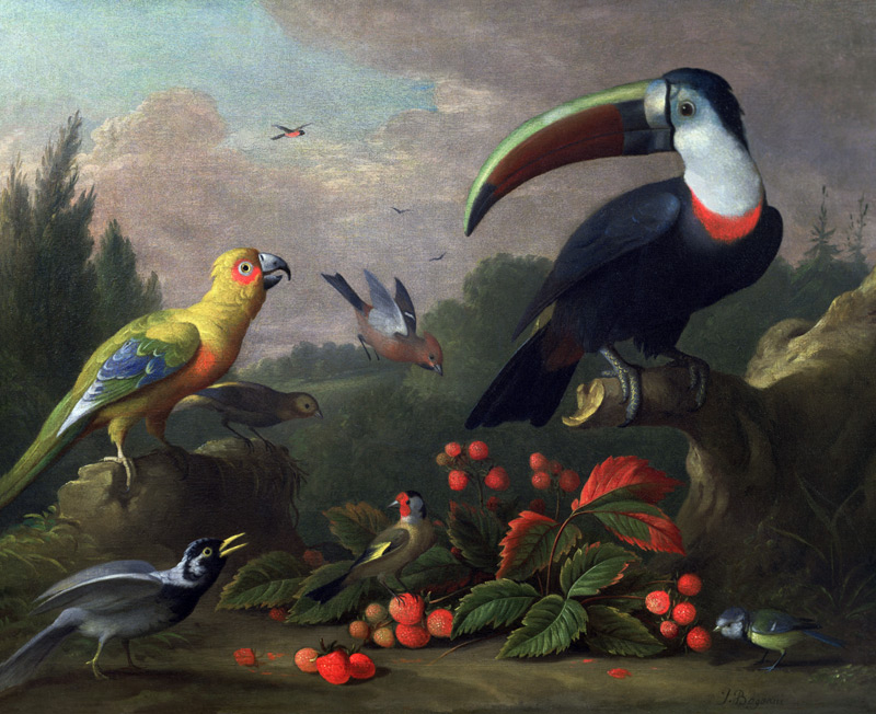 Toucan with Other Birds von Jakob Bogdani or Bogdany