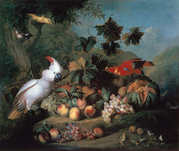 Fruit and Birds von Jakob Bogdani or Bogdany