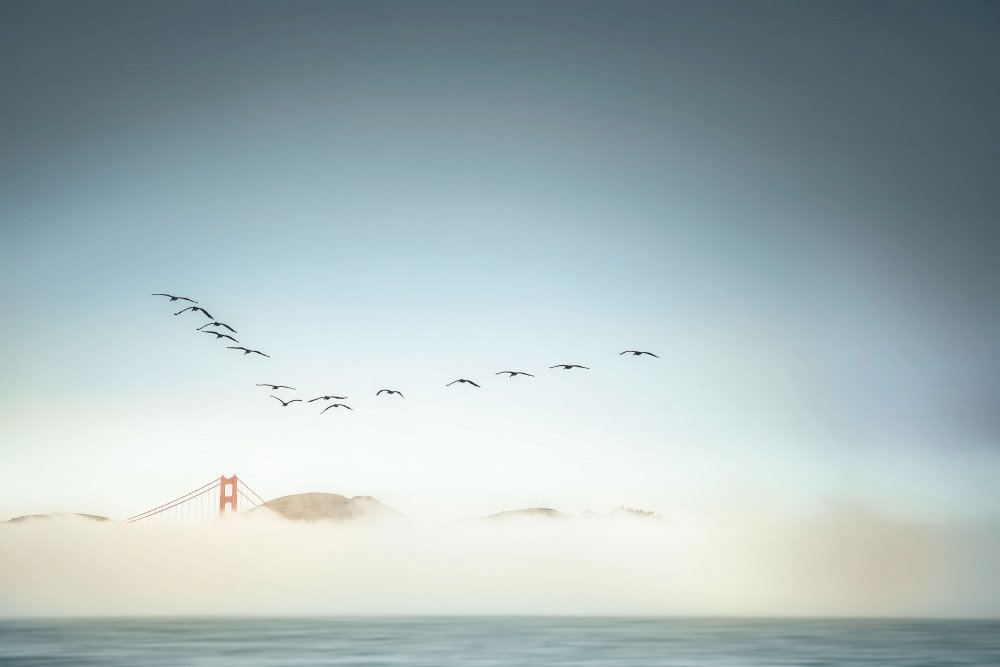 Morgennebel in der Golden Gate Bridge von Jamie Z. Chan