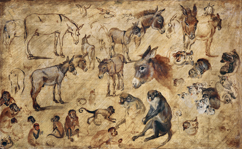 Tierstudien von Jan Brueghel d. Ä.