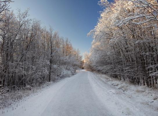 Weg im Schnee von Jan Philipp Dietrich