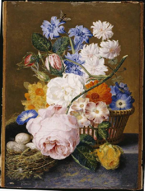 Rosen, Winden, Osterglocken, Astern und andere Blumen neben einem Vogelnest von Jan van Huysum