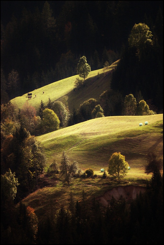 Ein Bauernland von Jan Zajc