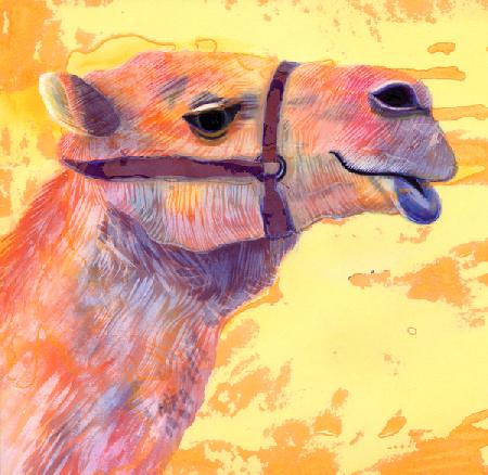 Camel 1994