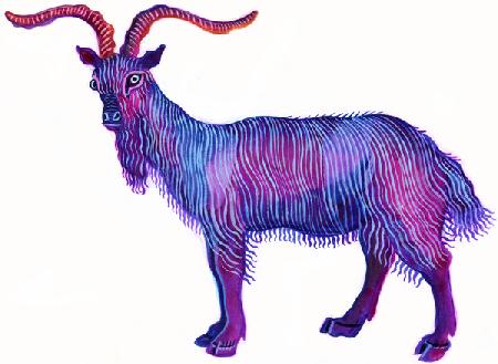 Goat Capricorn 1996