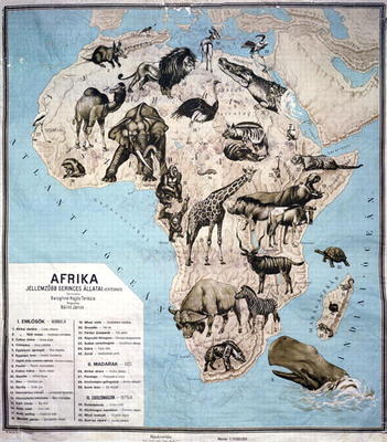 Map of animals in Africa (colour engraving) Sf von Janos Balint