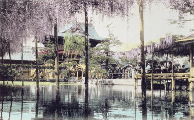 Wisteria blossom over the pond in the Kameido Temple Gardens, Tokyo, late 19th century (hand coloure von Japanese Photographer, (19th century)