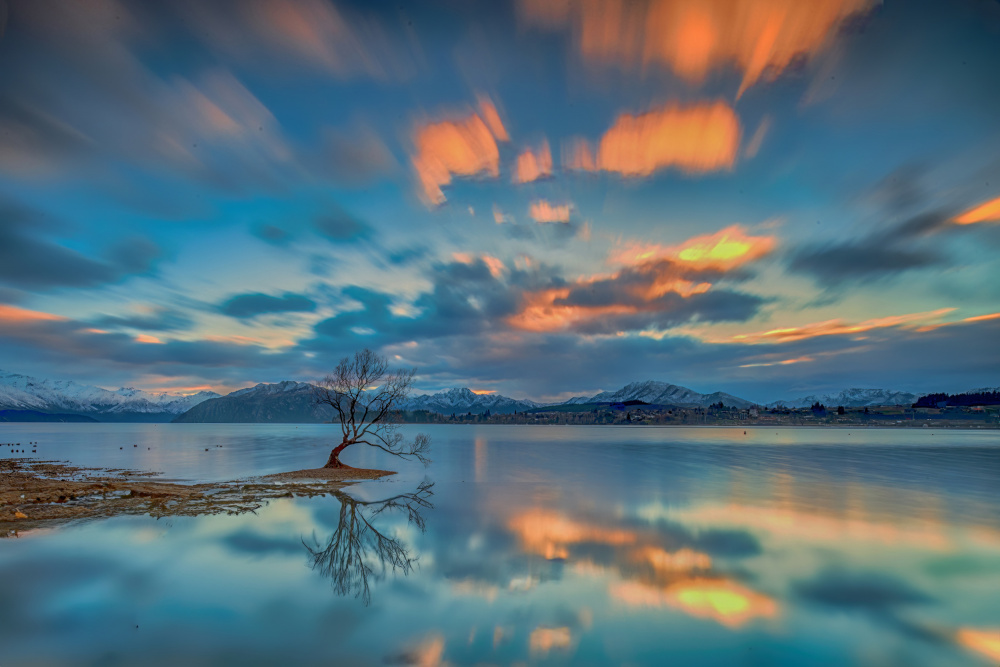 Dieser Wanaka-Baum-Sonnenaufgang von Jay Zhu