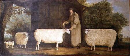 A Shepherd with his Flock von J.D. Curtis