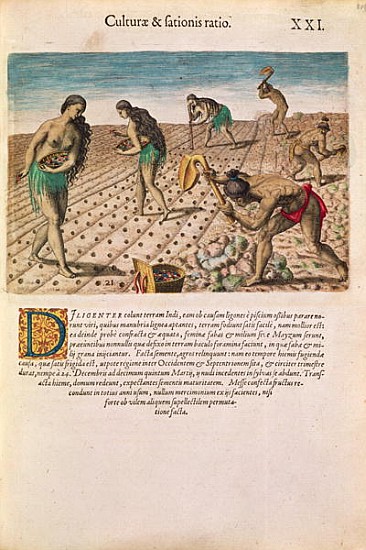 Florida Indians planting maize, from ''Brevis Narratio...'', published Theodore de Bry, 1591(see als von J.(de Morgues) Bry Th. (1528-98) after Le Moyne