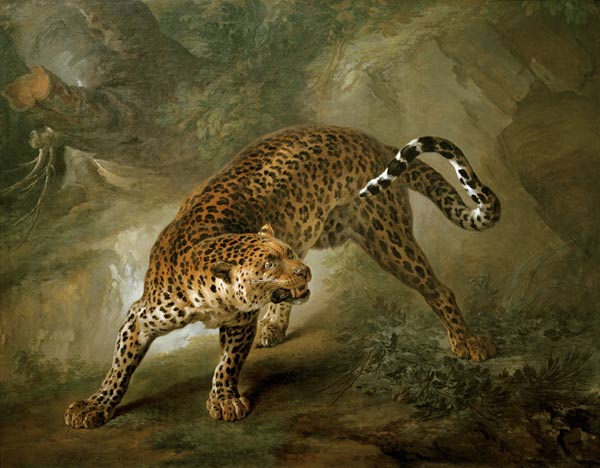 Leopard von Jean Baptiste Oudry
