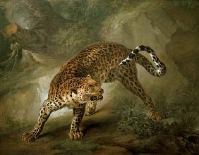 Leopard 1741