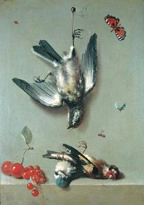 Still Life of Dead Birds and Cherries 1712