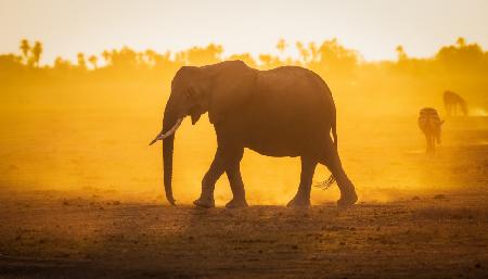Elephantine-Sonnenaufgang