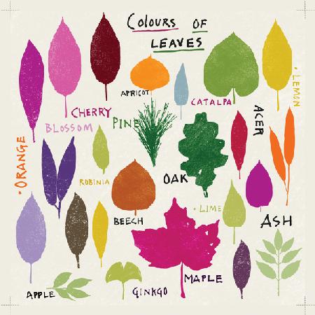 Colours of Leaves 2021