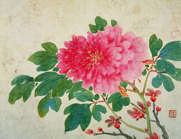 Painting of Peonies, from the 'Album of Paintings of Flowers, Fruits, Birds and Animals' c.1774  on