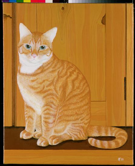 Marmalade cat by a door 1981
