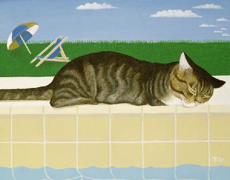 Tabby cat by a pool 1982