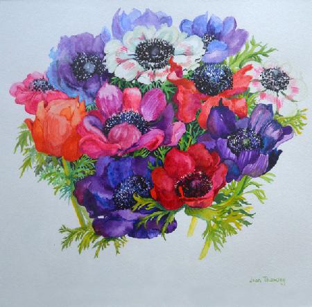 Anemones: red, white, pink and purple 2000