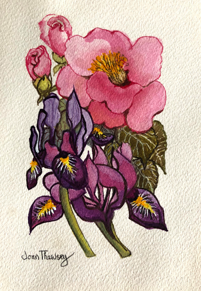 Camellia and Dutch Iris von Joan  Thewsey