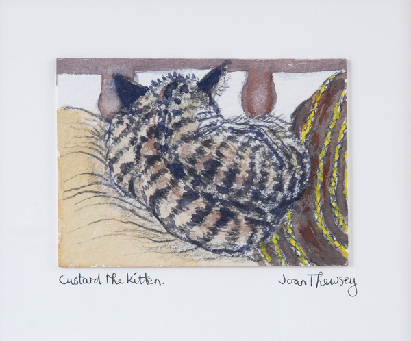Custard the Kitten von Joan  Thewsey
