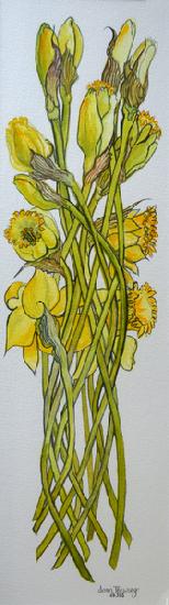 Daffodils 2008