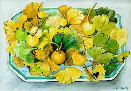 Ginkgo,fruit and Leaves 2010