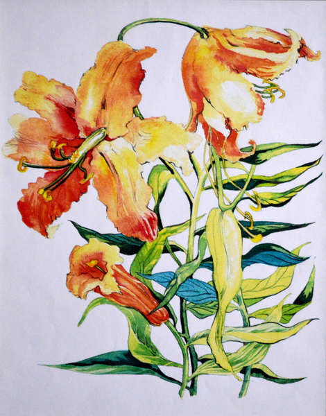 Orange Lilies 1 von Joan  Thewsey