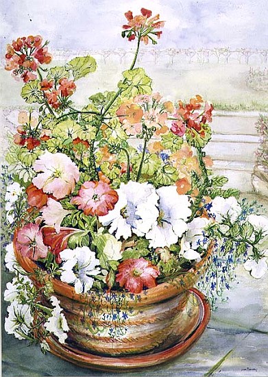 Petunias and Geraniums (w/c on paper)  von Joan  Thewsey