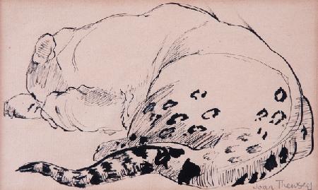 Sketch,Leopard,London Zoo 2005