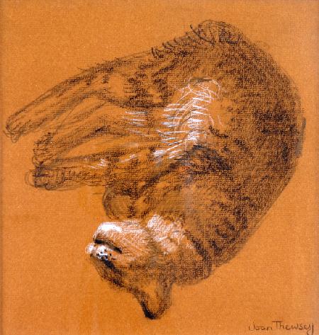 Sleeping Tabby Cat 2005