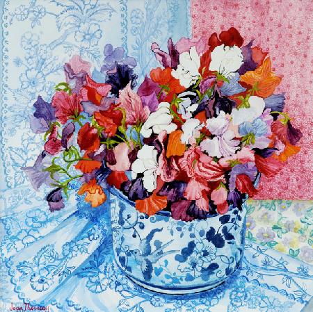 Sweet Peas in a Blue and White Pot 2010