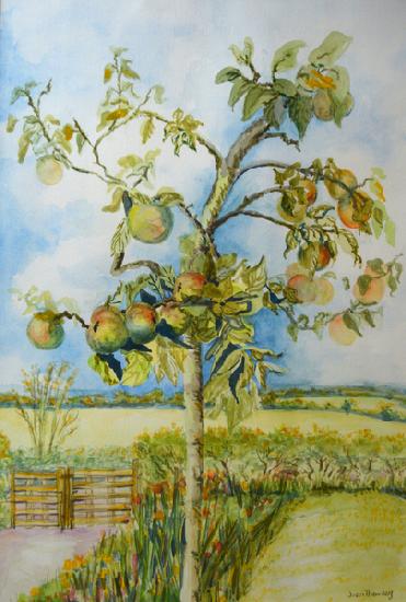 The Apple Tree 2001