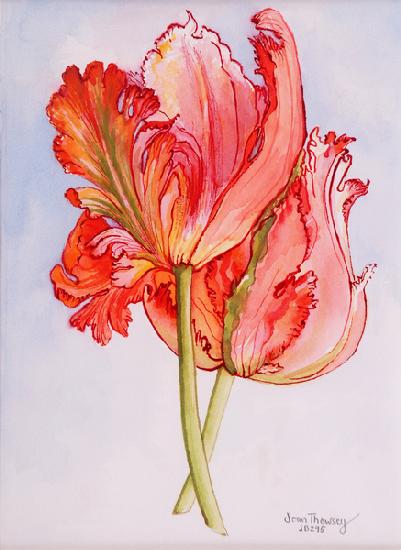 Two Frilled Tulips 2000