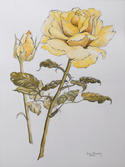 Yellow Rose with Leaves with Bud 2012